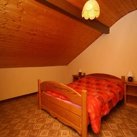 Elegant In Gerb Pal In Cosy Environment *