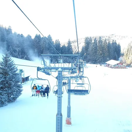 Chalet Elegant In Gerb Pal In Cosy Environment