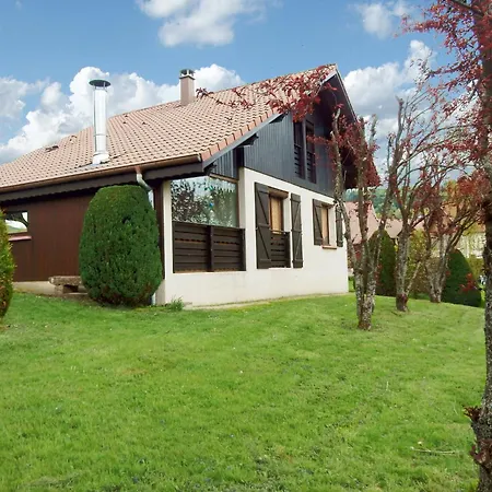 Elegant In Gerb Pal In Cosy Environment Gerbepal
