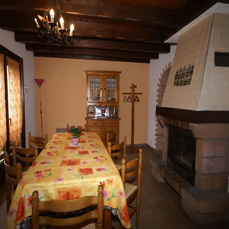 Elegant In Gerb Pal In Cosy Environment Gerbepal