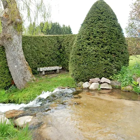 Elegant In Gerb Pal In Cosy Environment Gerbepal