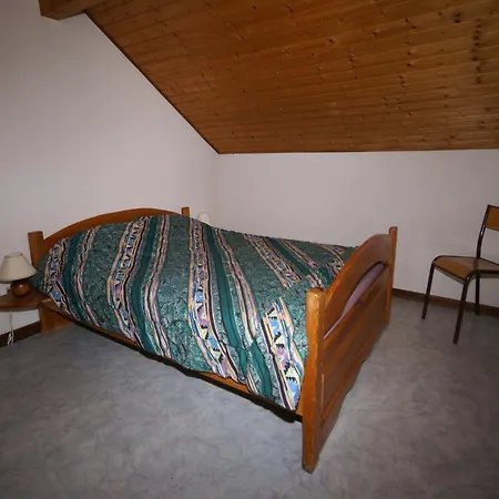 Elegant In Gerb Pal In Cosy Environment Gerbepal