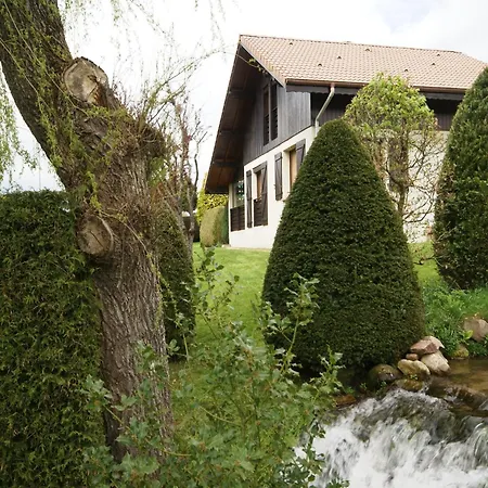 Elegant In Gerb Pal In Cosy Environment *