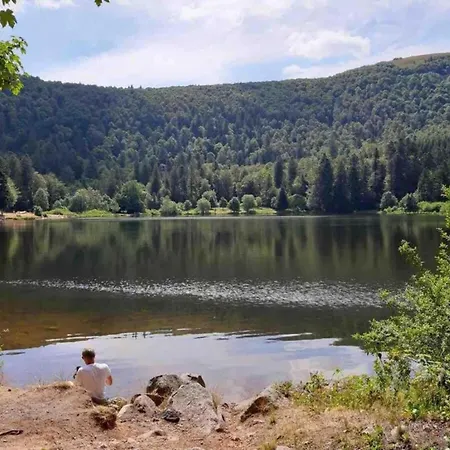 Elegant In In Cosy Environment Chalet *