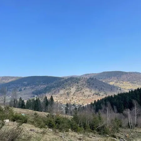 Elegant In In Cosy Environment