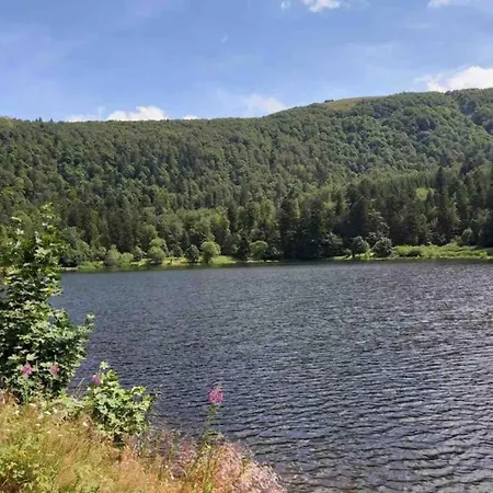 Elegant In In Cosy Environment Gerbépal