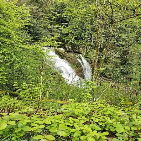 Elegant In In Cosy Environment