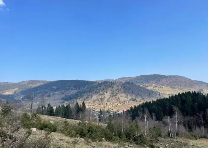 Elegant In In Cosy Environment