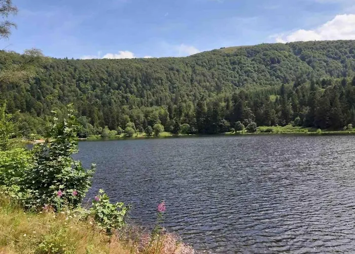 Elegant In In Cosy Environment Gerbépal