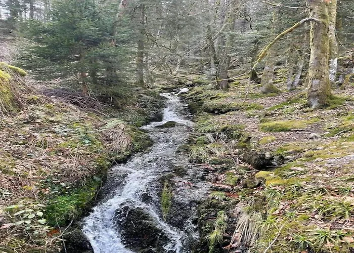 Elegant In In Cosy Environment Domek alpejski Gerbépal