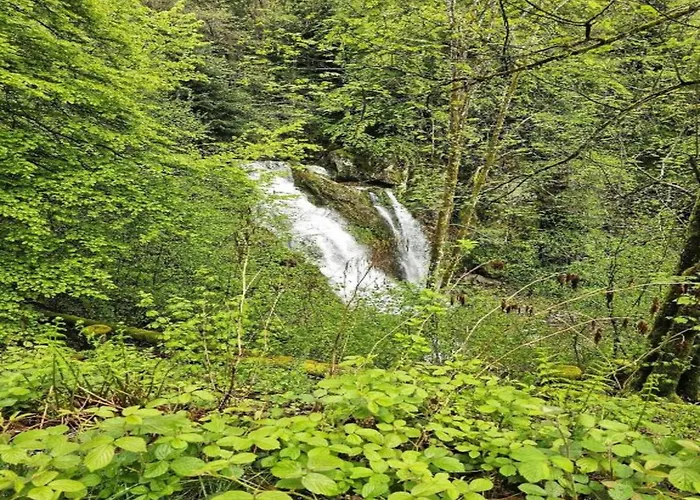 Elegant In In Cosy Environment