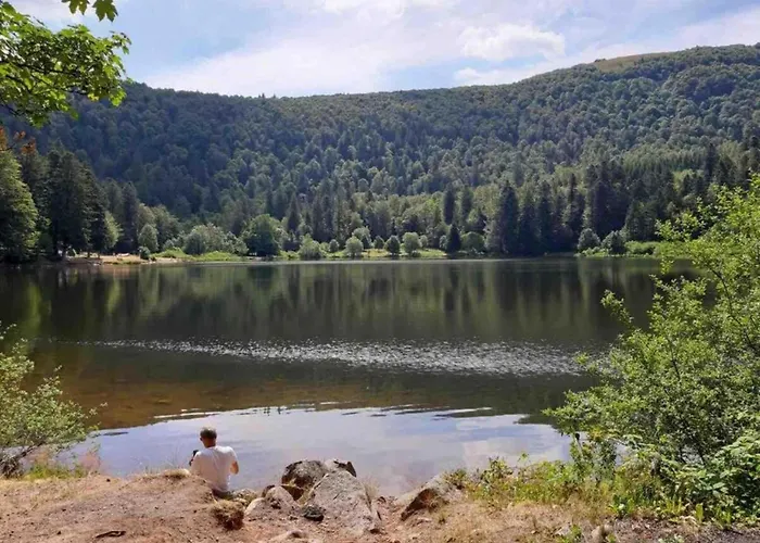 Domek alpejski Elegant In In Cosy Environment *